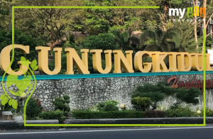 Rental Medium Bus Gunungkidul Jogja